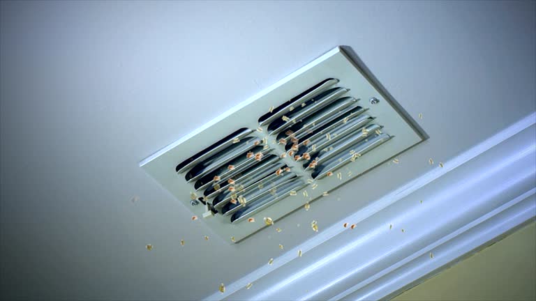 Best Dryer Vent Cleaning Services  in North Eagle Butte, SD